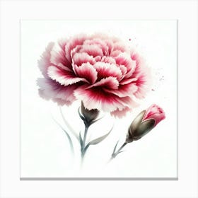 Carnation Flower 1 Canvas Print