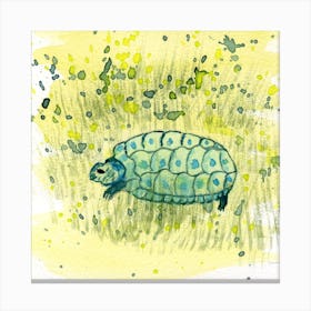 Turtle In Grass Watercolor Painting Canvas Print