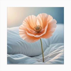 Comic Style Digital Photograph Of A Delicate Peach Canvas Print