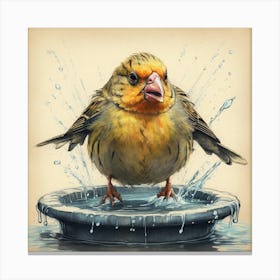 Bird Bath 2 Canvas Print