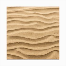 Sand Texture 18 Canvas Print
