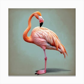 Flamingo 43 Canvas Print