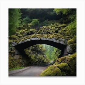 Moss Covered Bridge Canvas Print