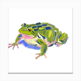 American Bullfrog 01 Canvas Print