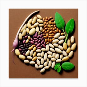 Legumes As A Logo (65) Canvas Print