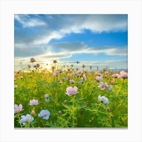 Field Of Flowers At Sunset Canvas Print