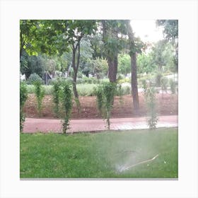 Water Sprinkler In The Park 1 Canvas Print