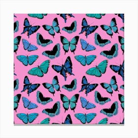 Blue Butterflies On Pink Canvas Print