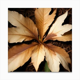 Brown And White Wilted Leaves On The Ground, Top View Canvas Print