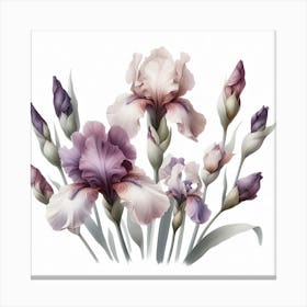 Mauve Flowers of Irise 1 Canvas Print