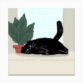 Black Cat On A Window Sill Canvas Print