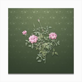 Vintage Dwarf Rosebush Botanical on Lunar Green Pattern Canvas Print