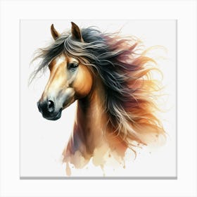 Horse Head 5 Canvas Print