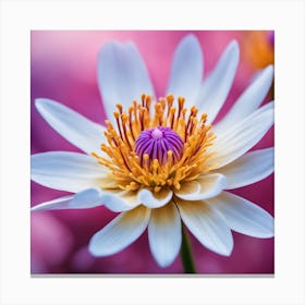 Lotus Flower Canvas Print