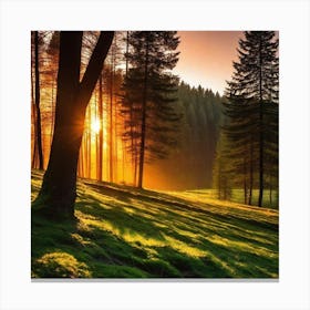 Sunrise In The Forest 20 Canvas Print