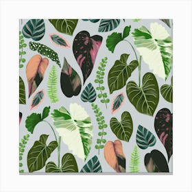 Tropical Leaves Canvas Print