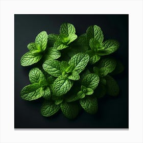 Aromatic and Refreshing: The Enchanting World of Mint, Nature's Fragrant Treasure Trove Canvas Print