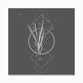 Vintage Gladiolus Xanthospilus Botanical with Line Motif and Dot Pattern in Ghost Gray n.0180 Canvas Print