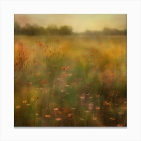 Field Of Poppies Canvas Print