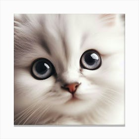 White Cat With Big Eyes 1 Canvas Print