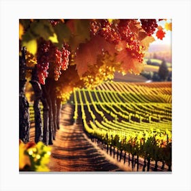 Vineyards At Sunset 2 Canvas Print