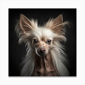 Chihuahua Portrait Canvas Print