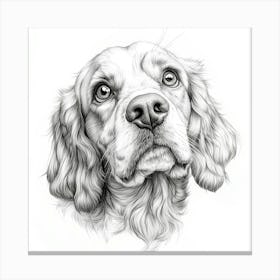 Cocker Spaniel 3 Canvas Print