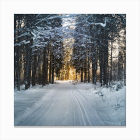 Winter Road In The Forest Canvas Print