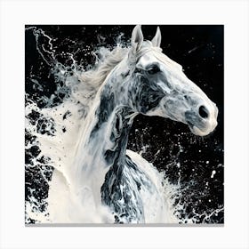Milky White Paint Horse Canvas Print