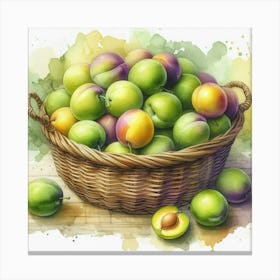 Watercolor's Basket Full Of Plums 2 Canvas Print