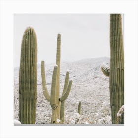 Snow Storm In The Desert Canvas Print