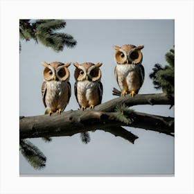 Three Owls On A Branch Canvas Print