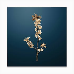 Gold Botanical February Daphne Flowers on Dusk Blue n.4548 Canvas Print