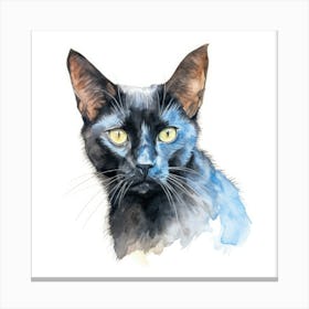 Bombay Sable Cat Portrait 2 Canvas Print