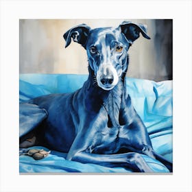 Blue Greyhound relaxing Canvas Print