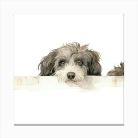 Dachshund 25 Canvas Print