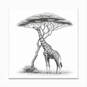 Line Art giraffe 2 Canvas Print