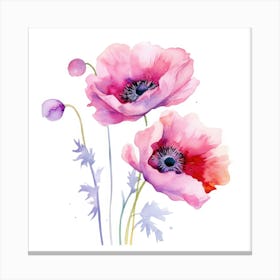 Watercolor Poppies 2 Canvas Print