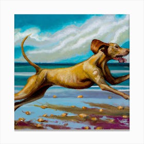 Dog Running On The Beach 2 Canvas Print