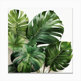 Tropical Leaves Canvas Print