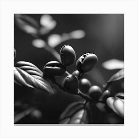 Coffee Beans In Black And White Canvas Print