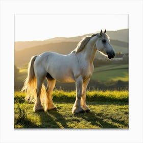 white horse Canvas Print