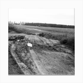 Black And White Dirt Road Rural Photo art photography nature landscape square living room office Canvas Print