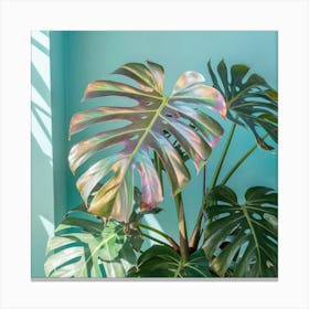 Monstera Plant Canvas Print