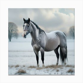 Horse Standing In Snow Canvas Print