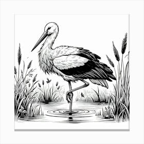 Line Art stork 2 Canvas Print