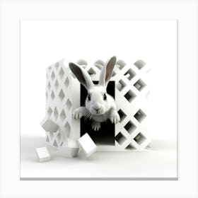 Rabbit In A Cube Canvas Print