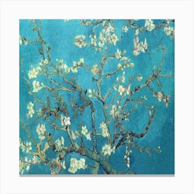 Blossoming Almond Tree Lienzo