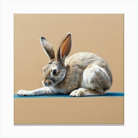 Rabbit 10 Canvas Print