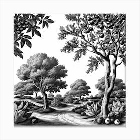 Landscape Trees Canvas Print